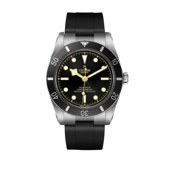 Tudor watch